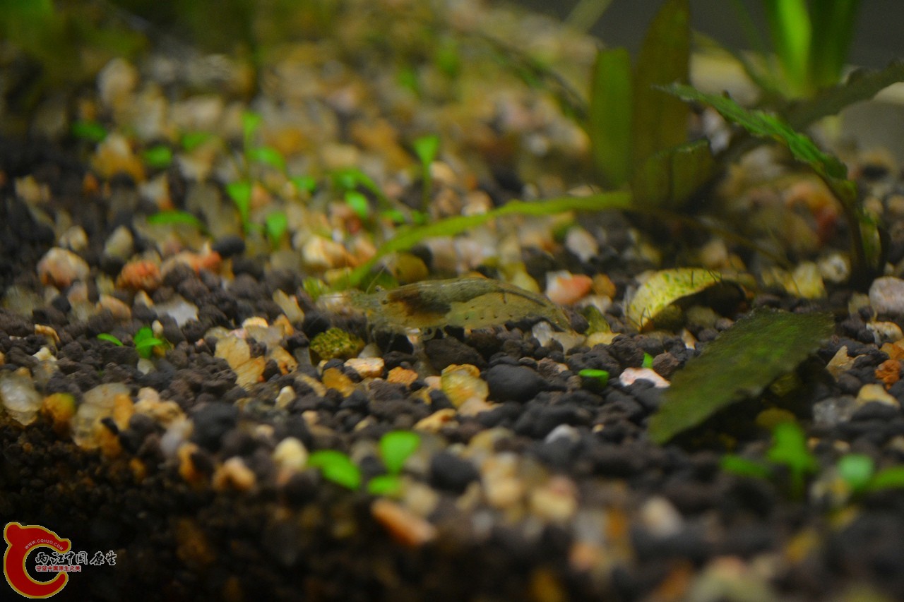 20120407-630.jpg