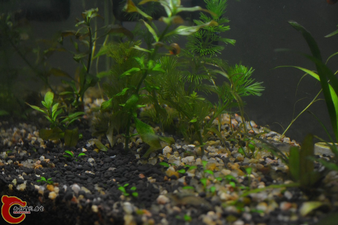 20120407-632.jpg
