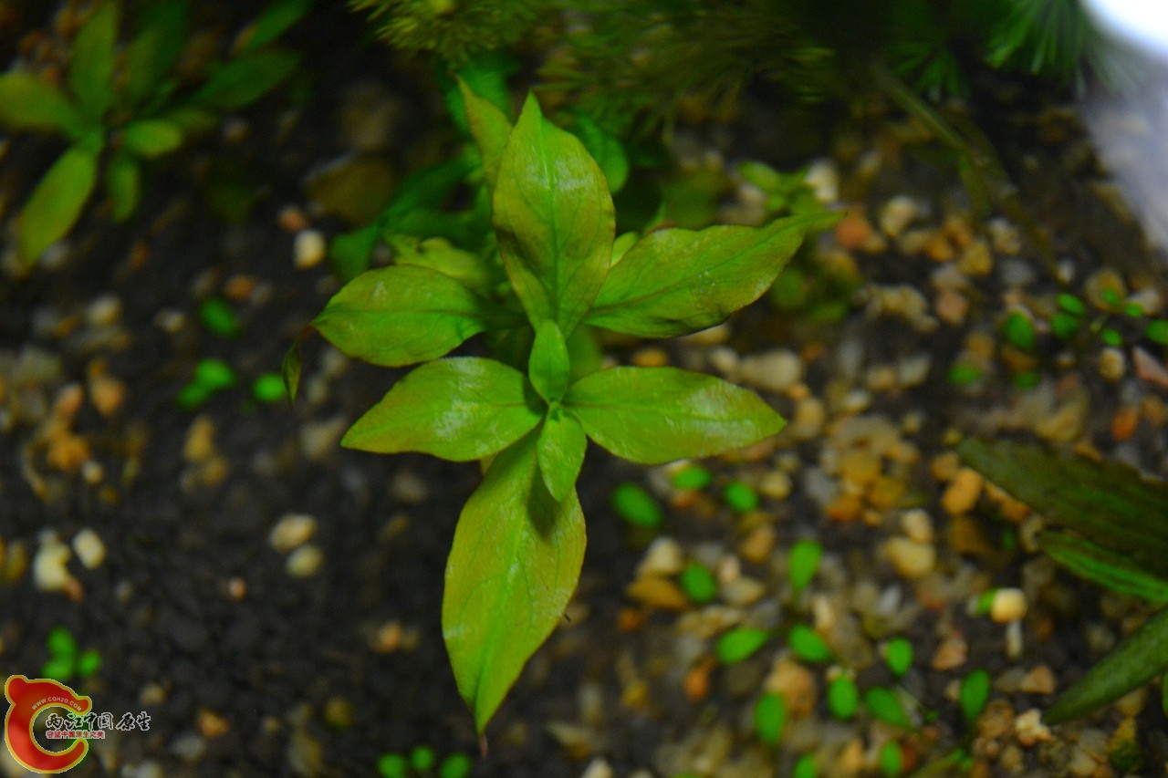20120407-633.jpg