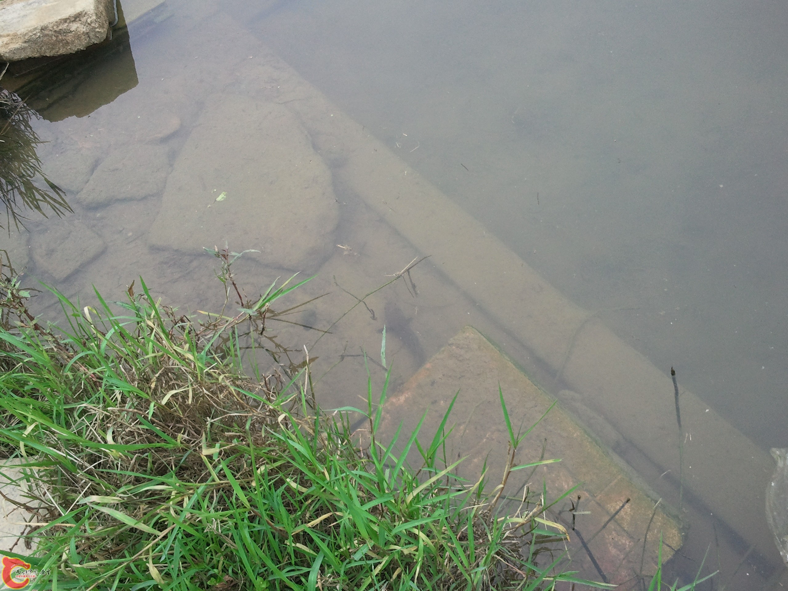 2012-04-07 14.32.00.jpg