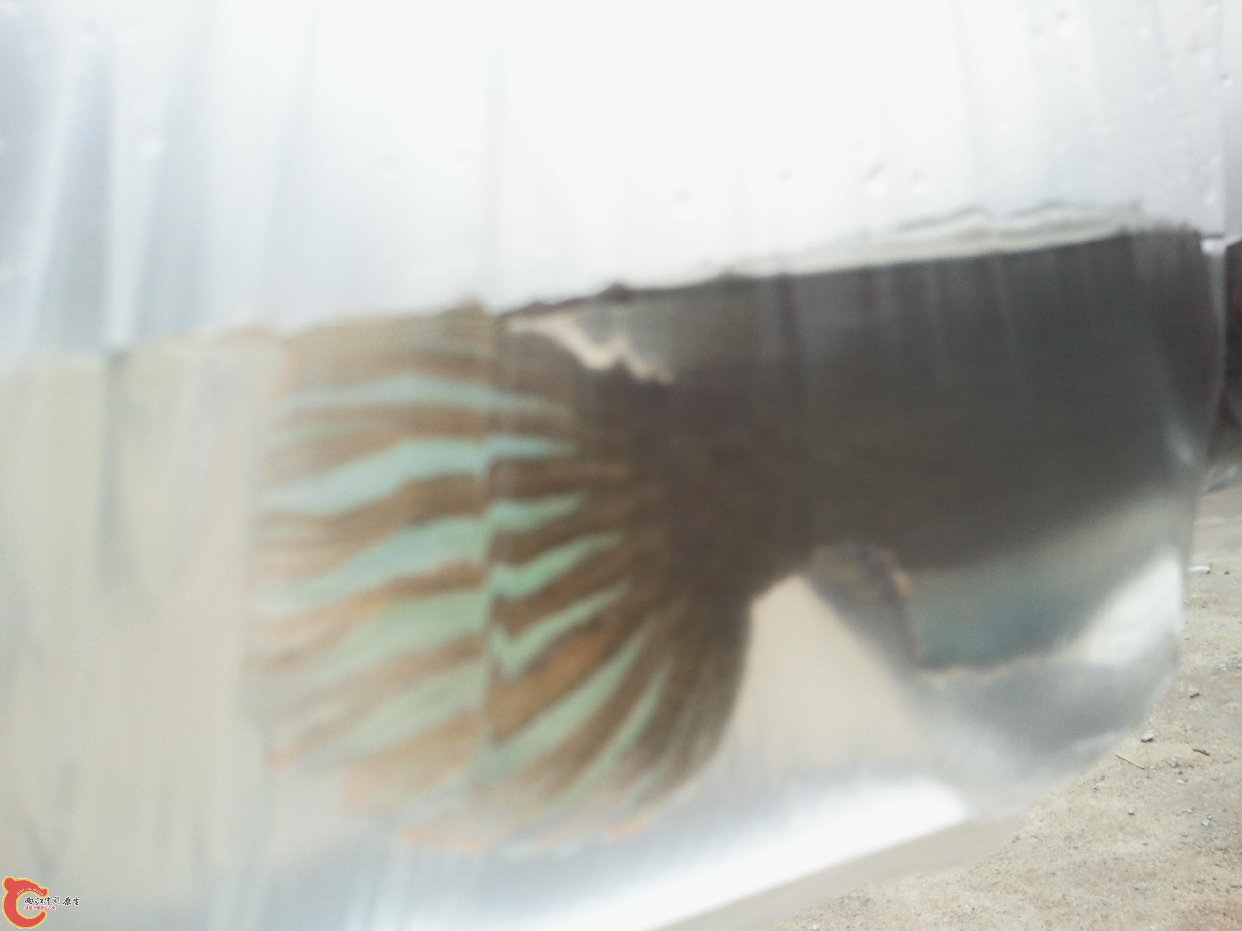 2012-04-07 14.09.06.jpg