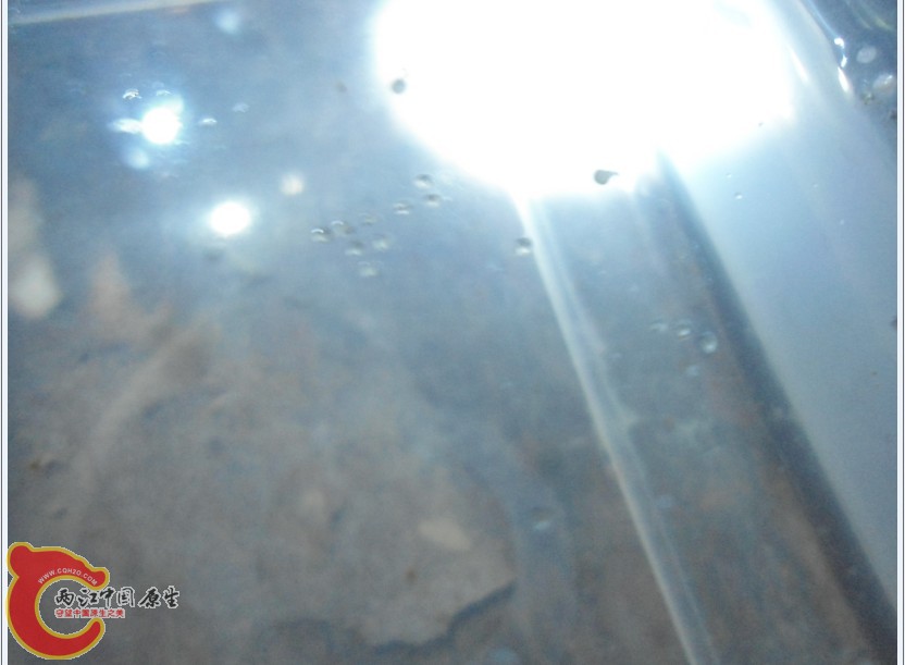 IJA1@RZ`2DNXV7I1~SPNXUD.jpg