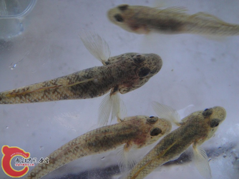 dsc01882_副本.jpg