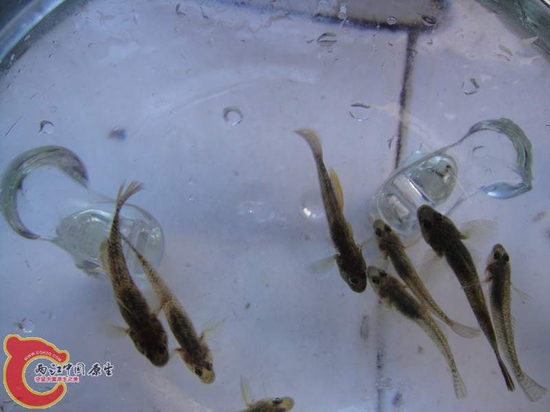 dsc01880_副本.jpg