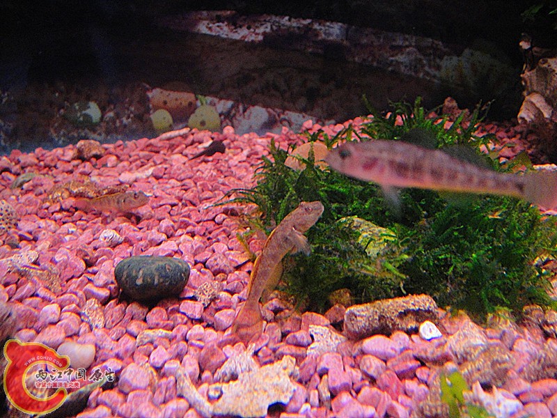 dsc01925_副本.jpg