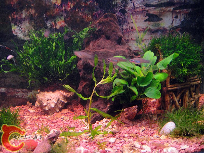 dsc01890_副本.jpg