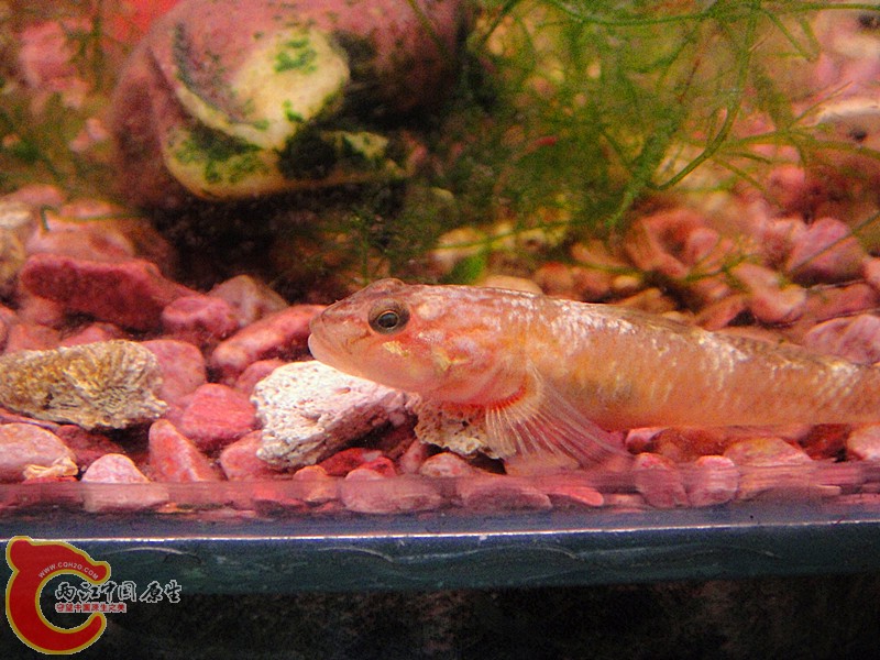 dsc01898_副本.jpg