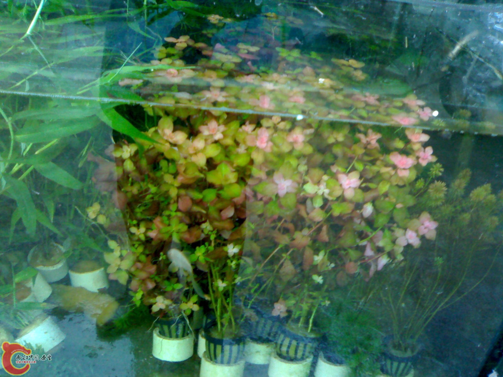 20120409242.jpg