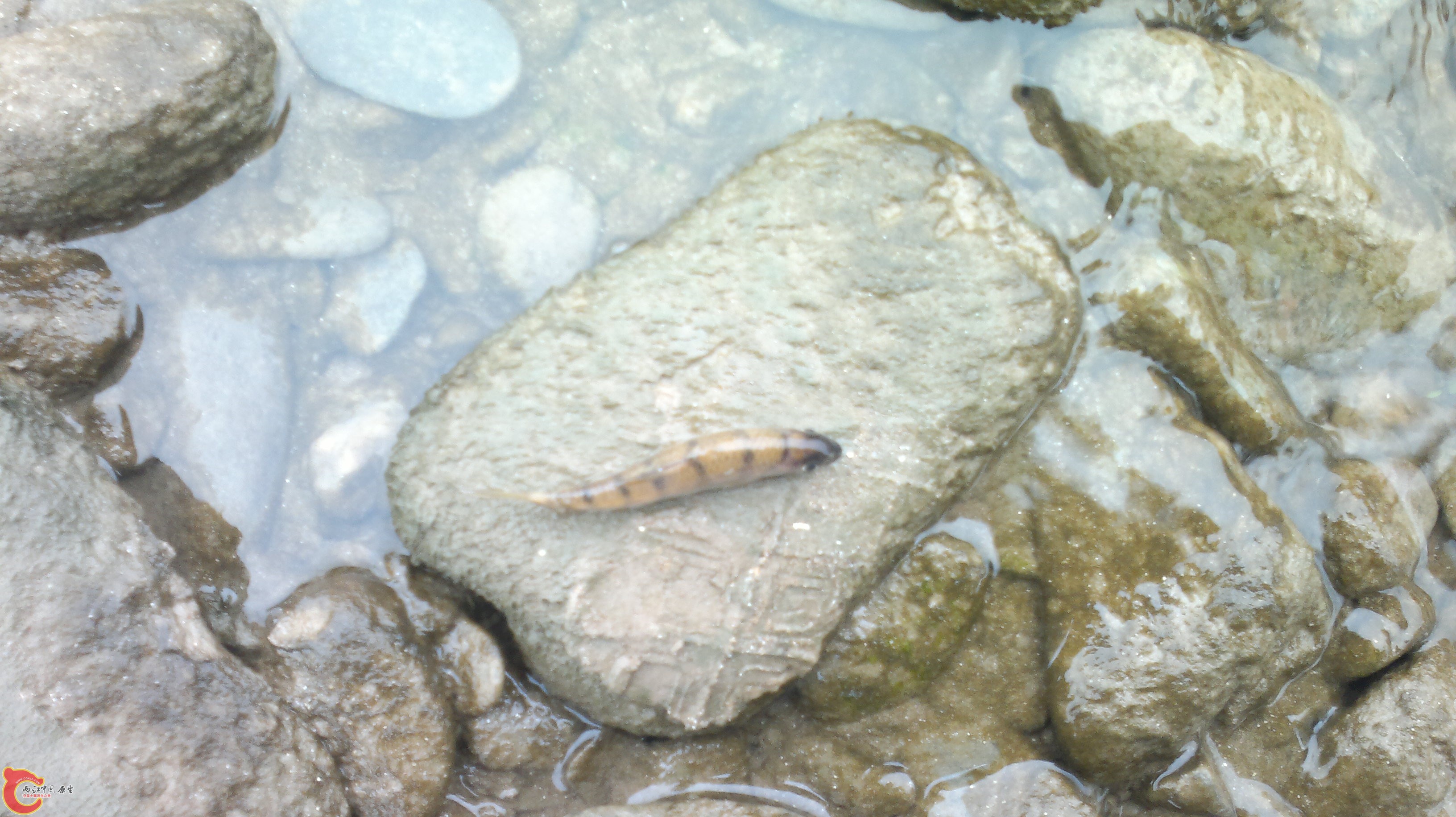 20120409143.jpg