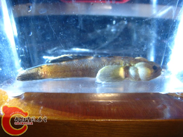 IMG_6421.JPG