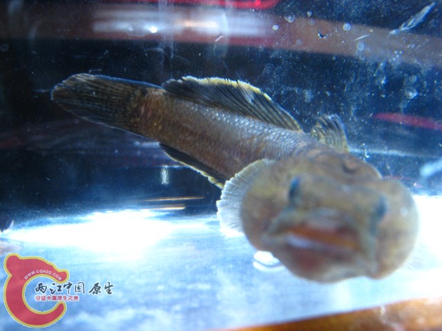IMG_6426.JPG