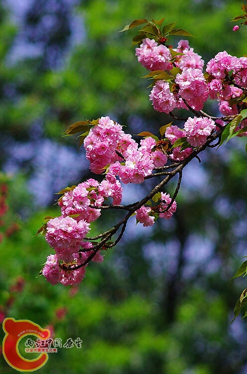 IMGP2476.jpg