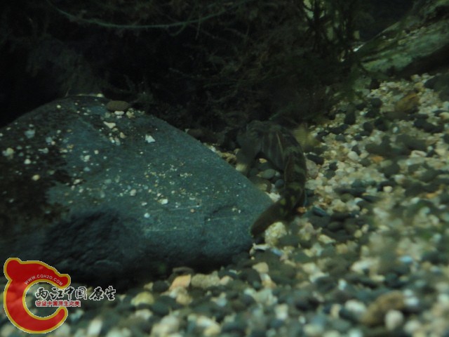 DSC02310.JPG