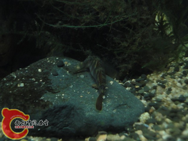 DSC02314.JPG