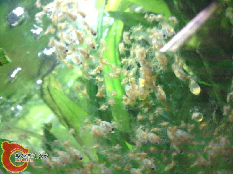 照片-0012.jpg