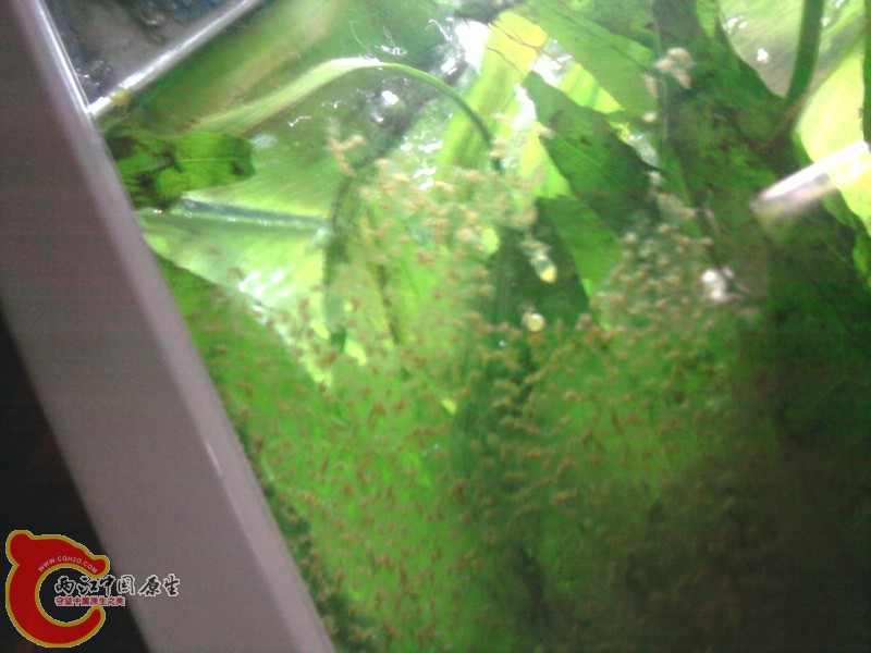 照片-0019.jpg