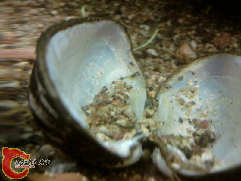 照片-0004.jpg