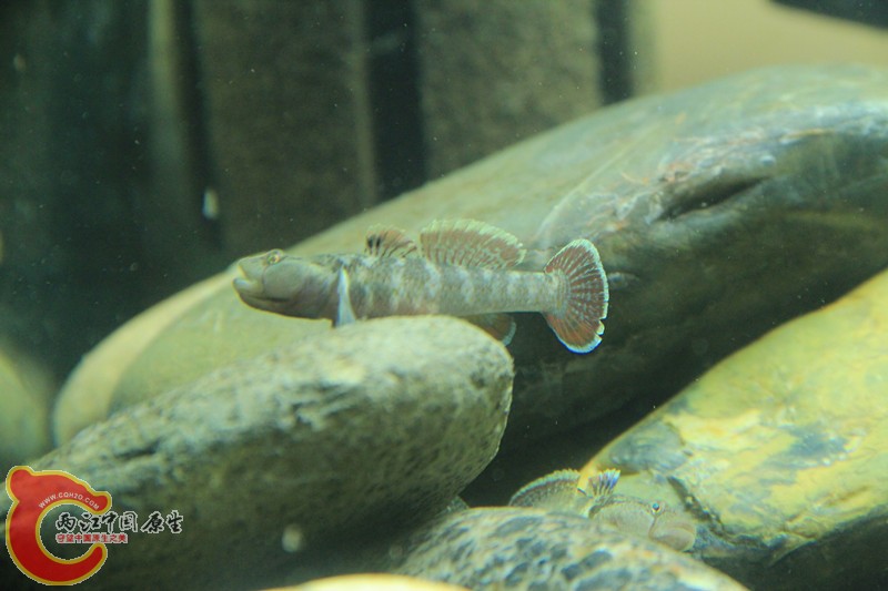 IMG_4168_副本.jpg