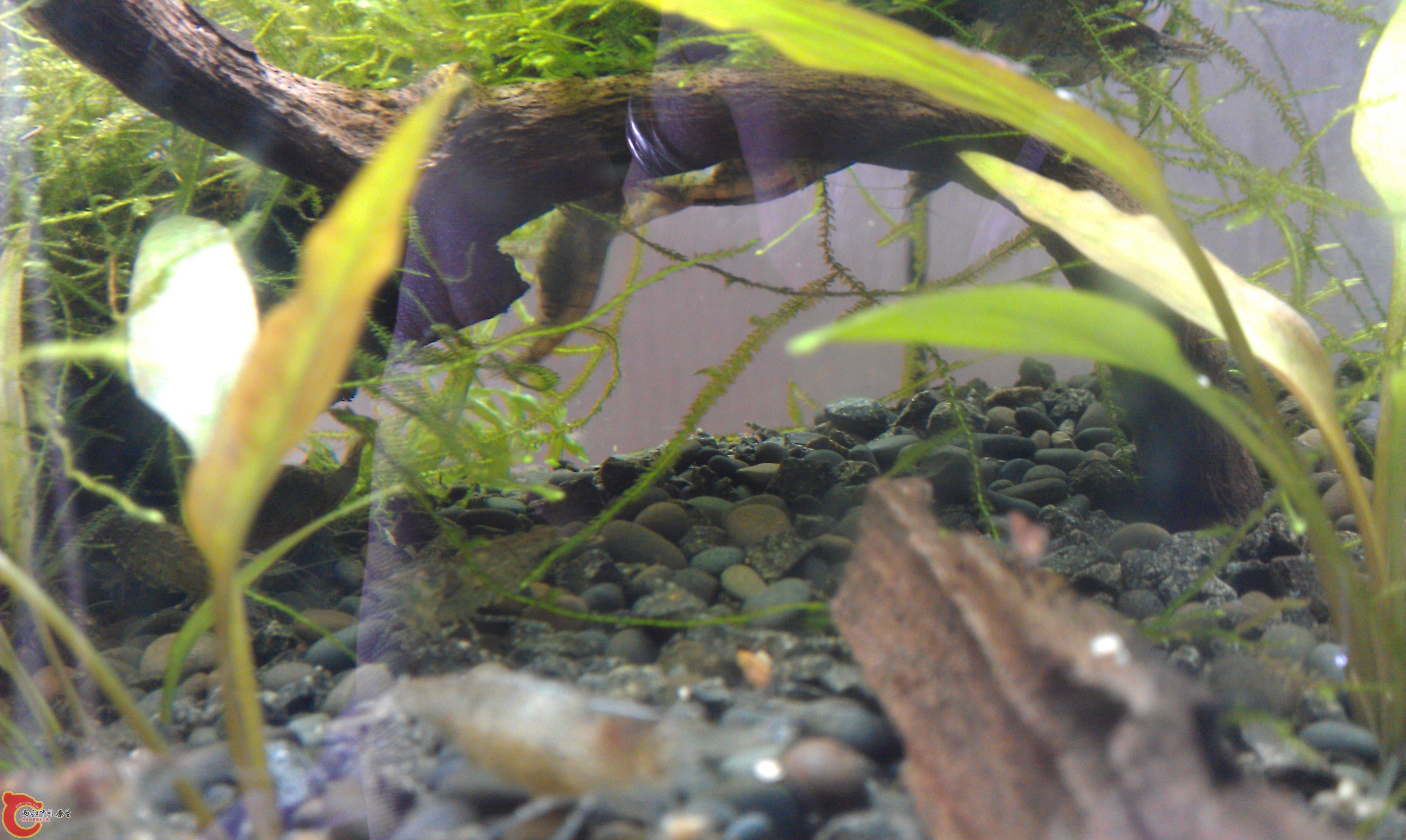 IMAG0570.jpg