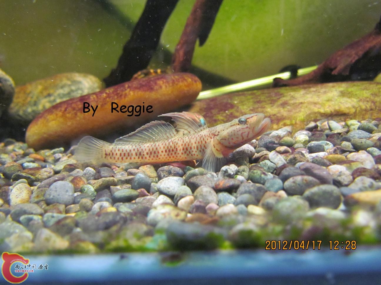 照片 252.jpg