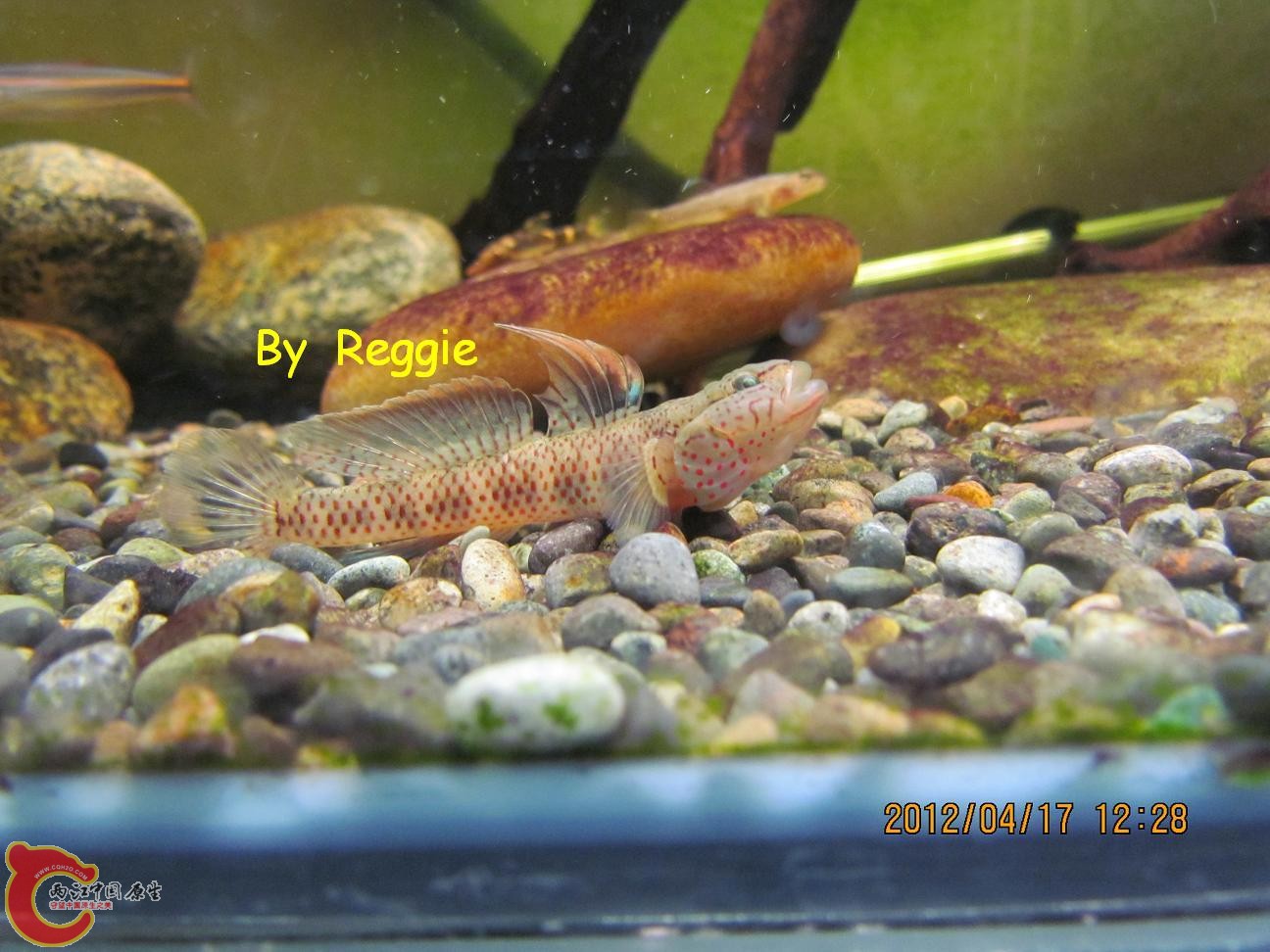 照片 253.jpg