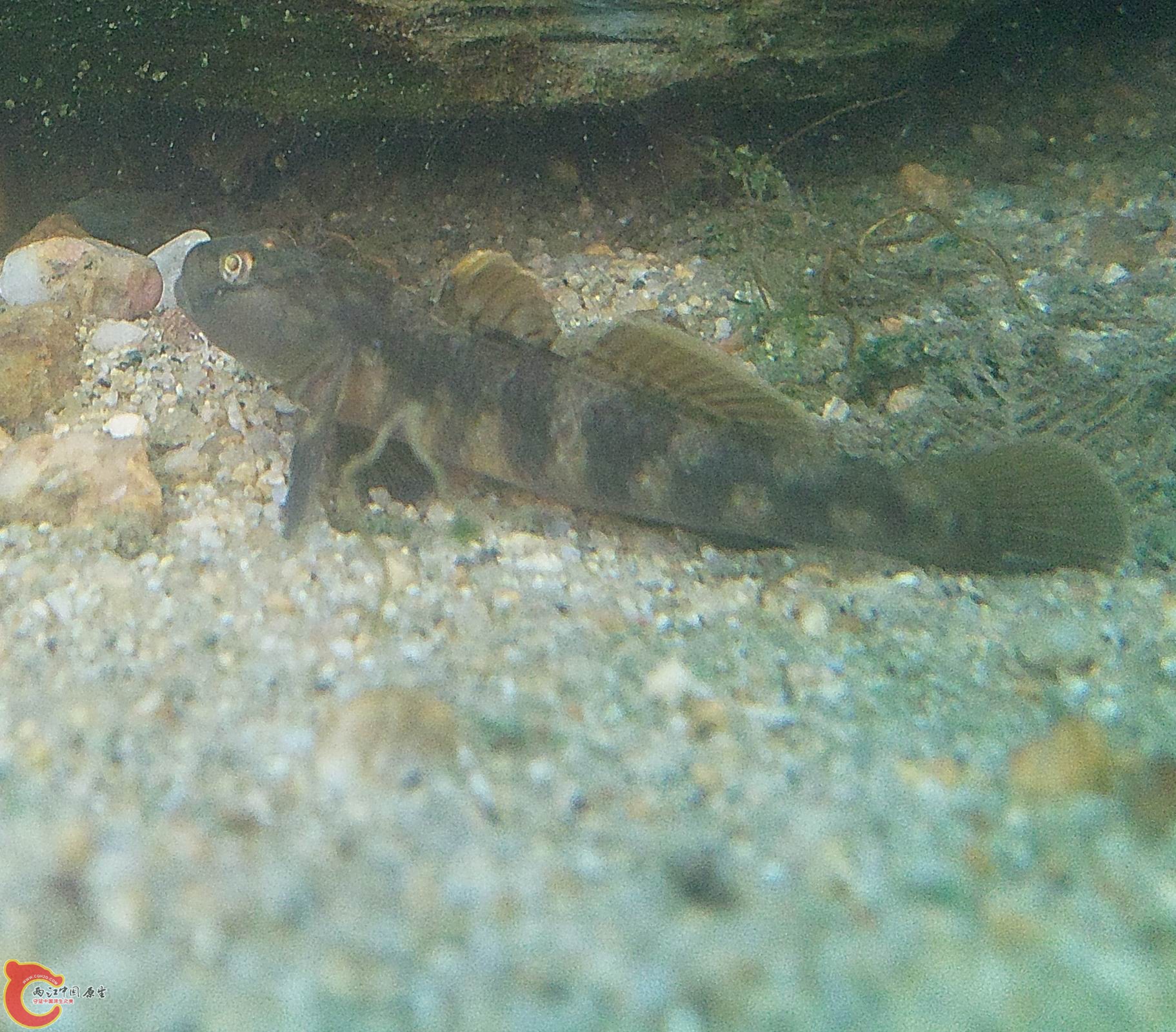 照片2131.jpg