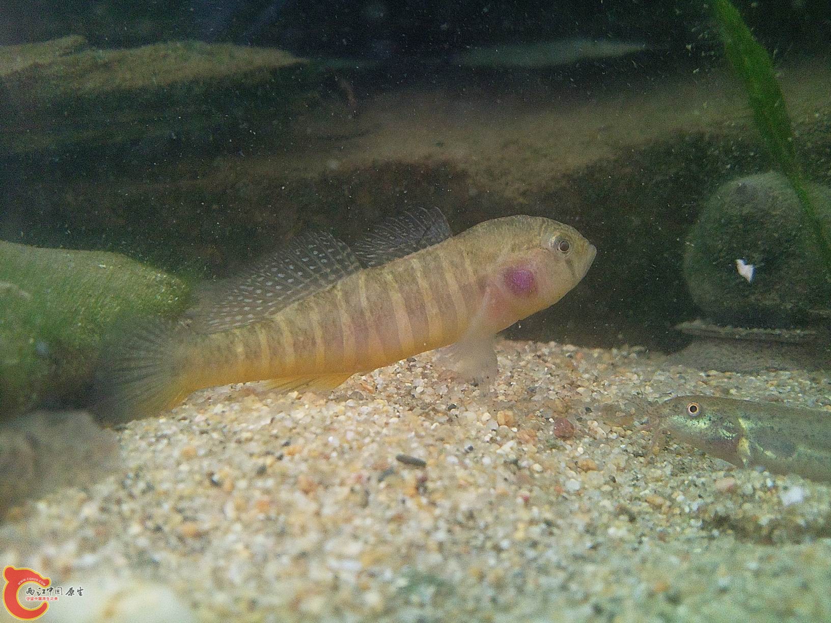照片2149.jpg