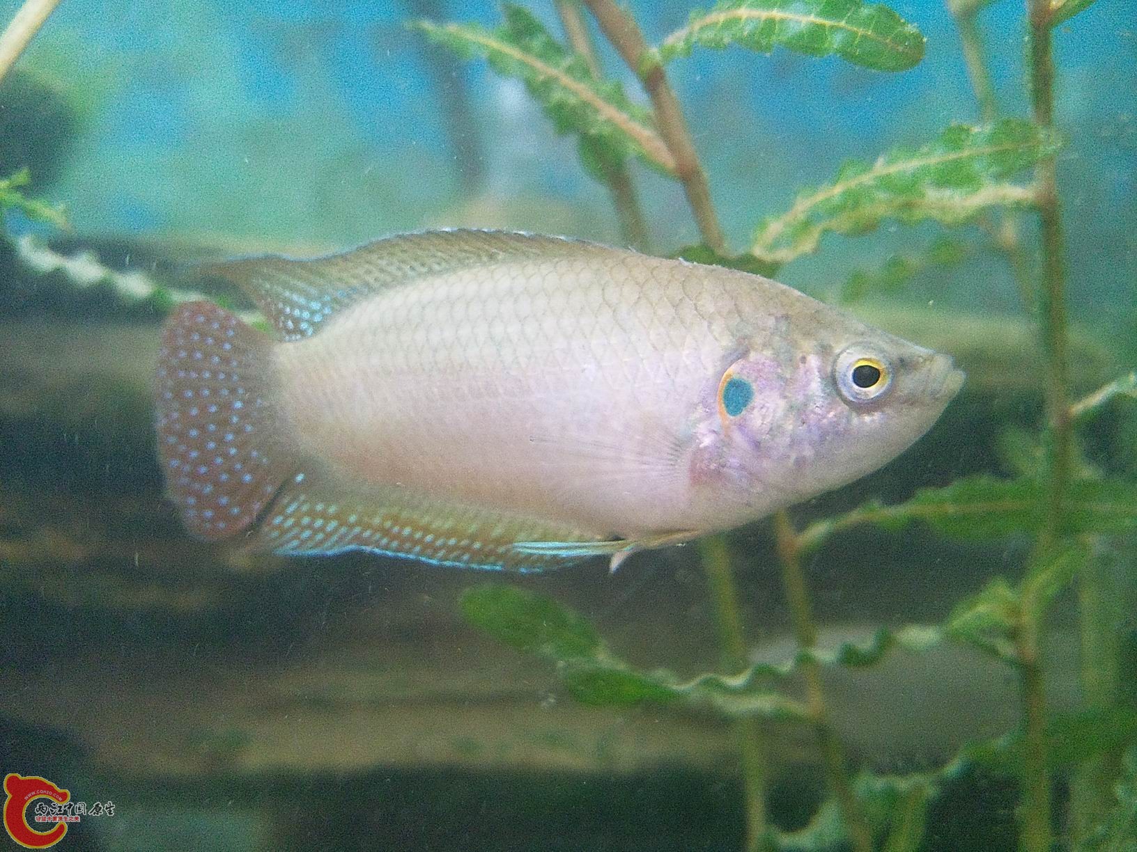 照片2159.jpg