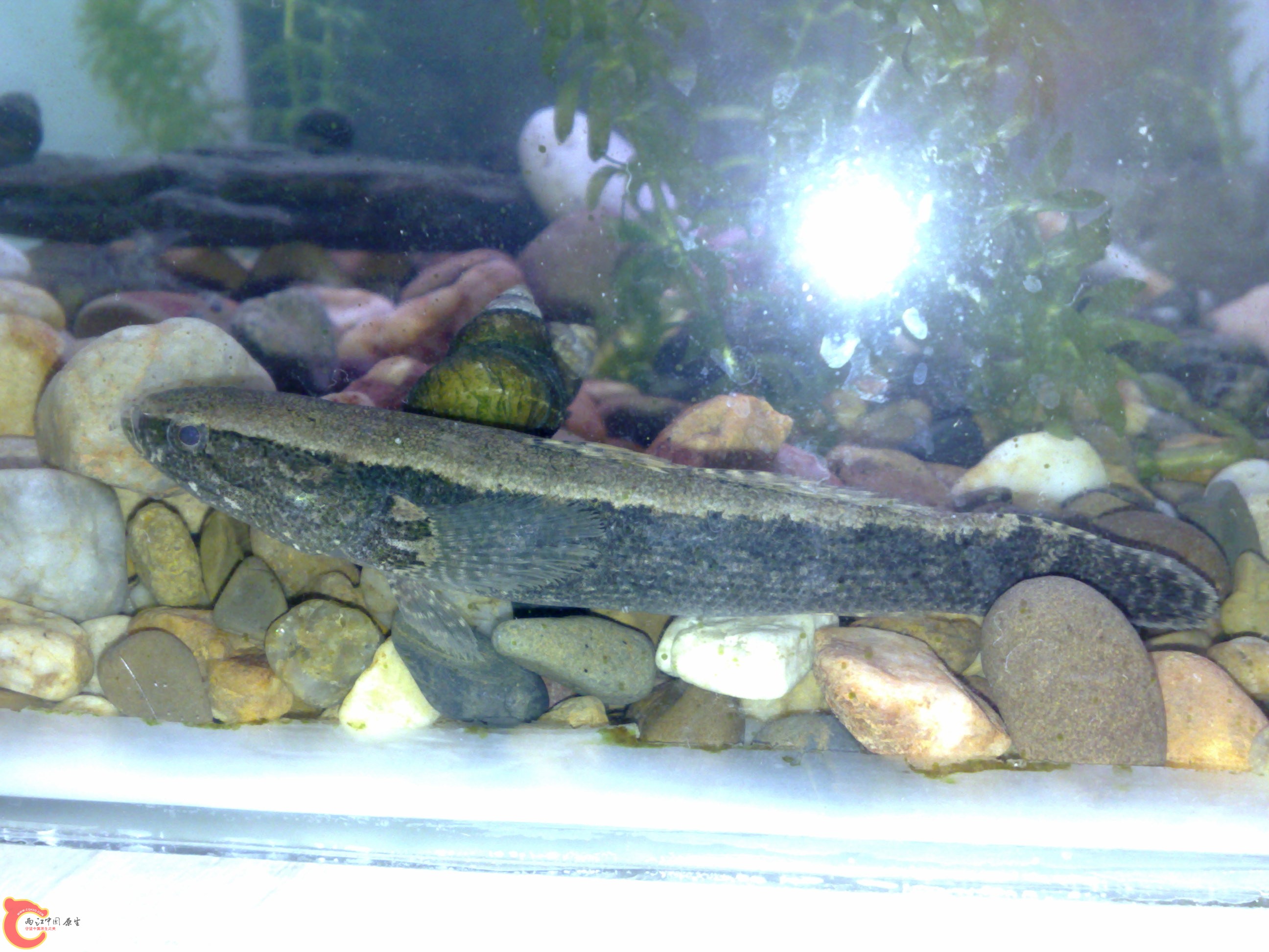 20120417492.jpg
