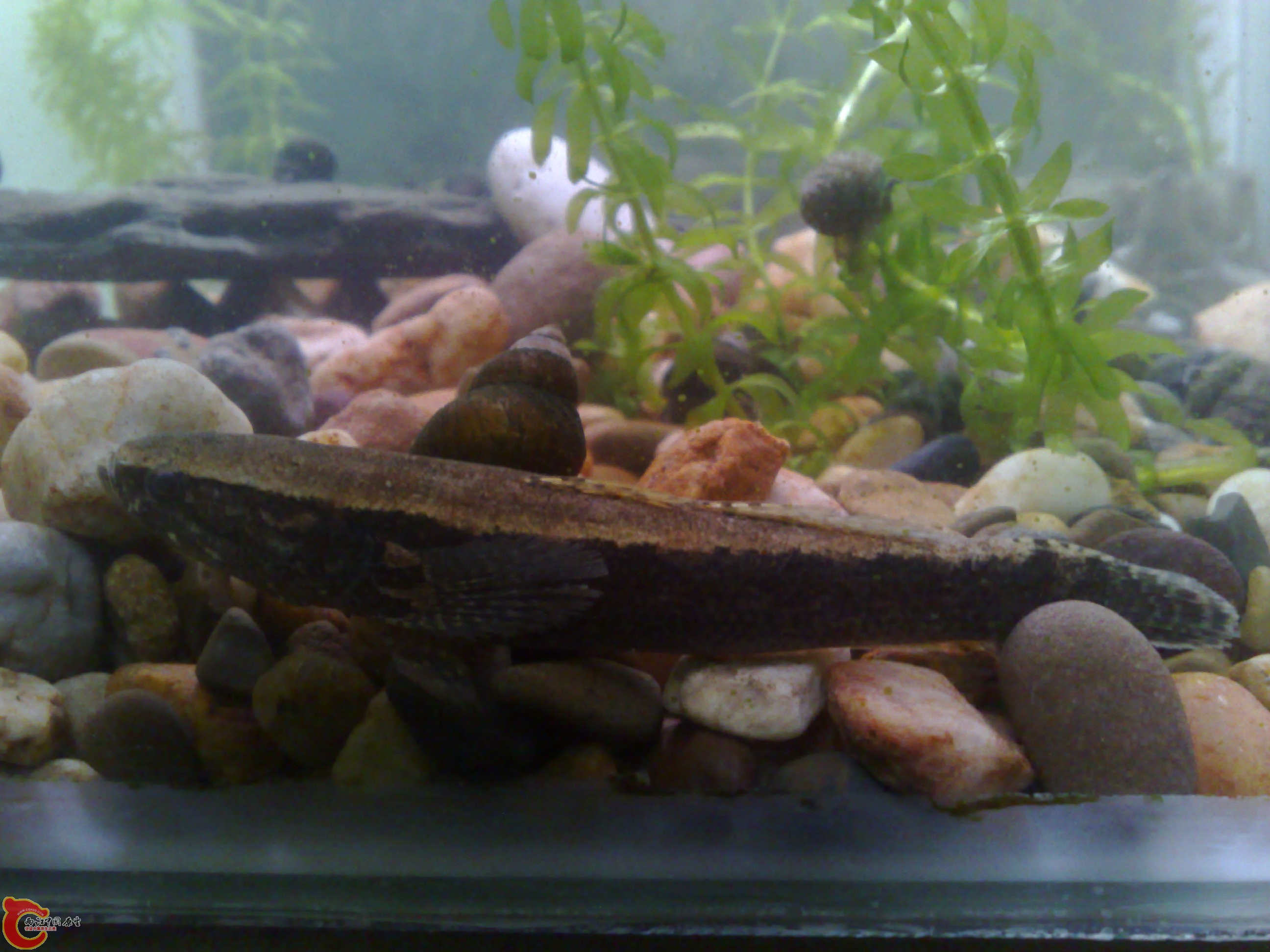 20120417491.jpg