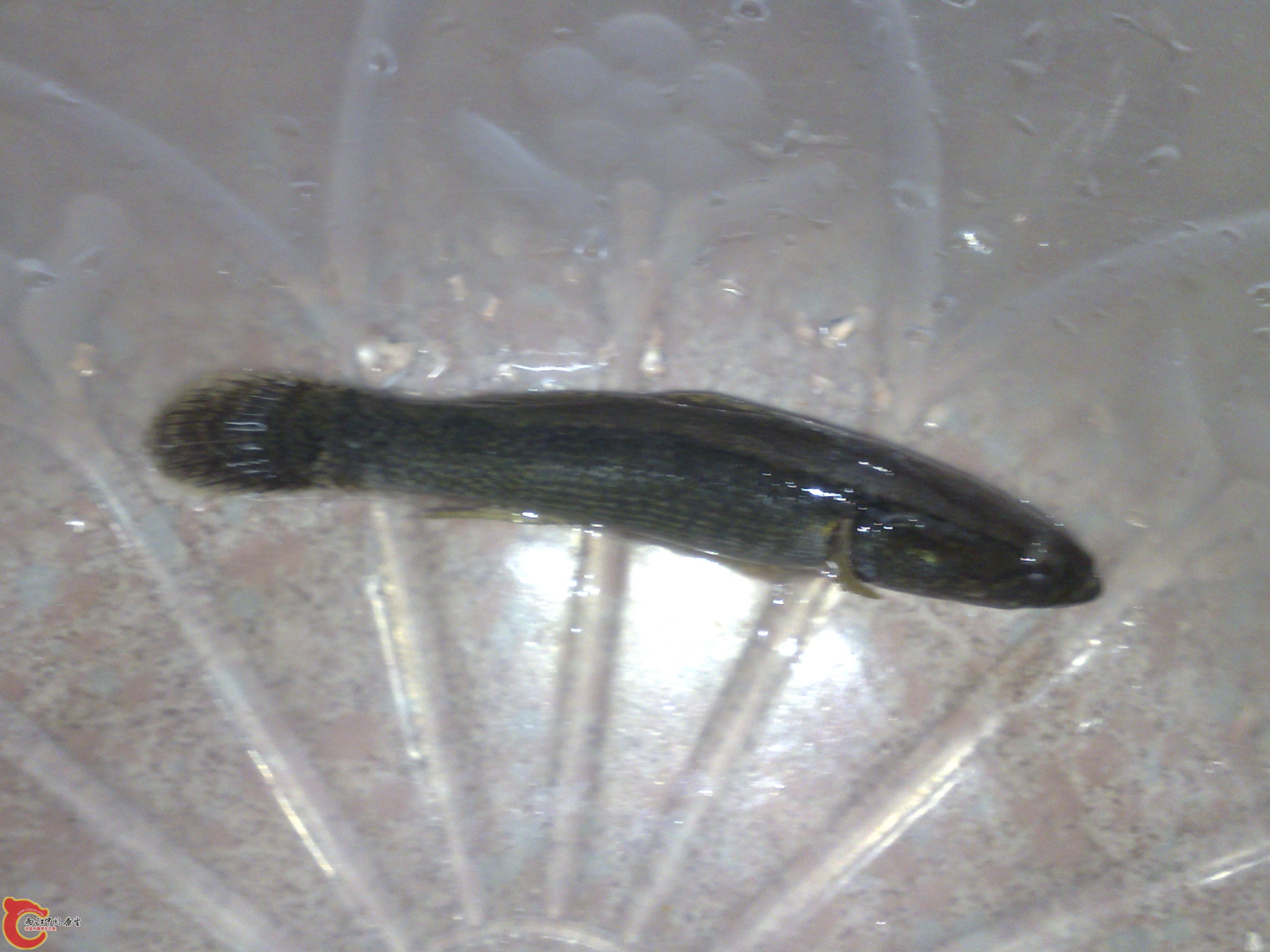 20120417489.jpg