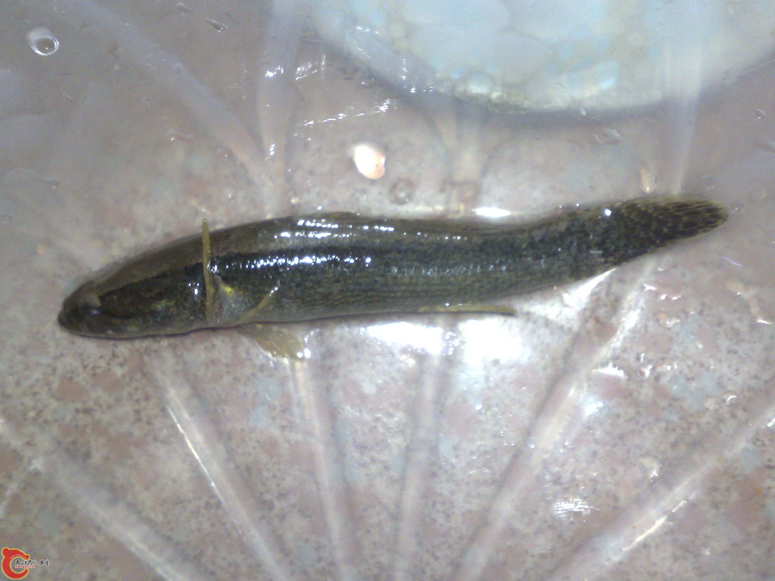 20120417488.jpg