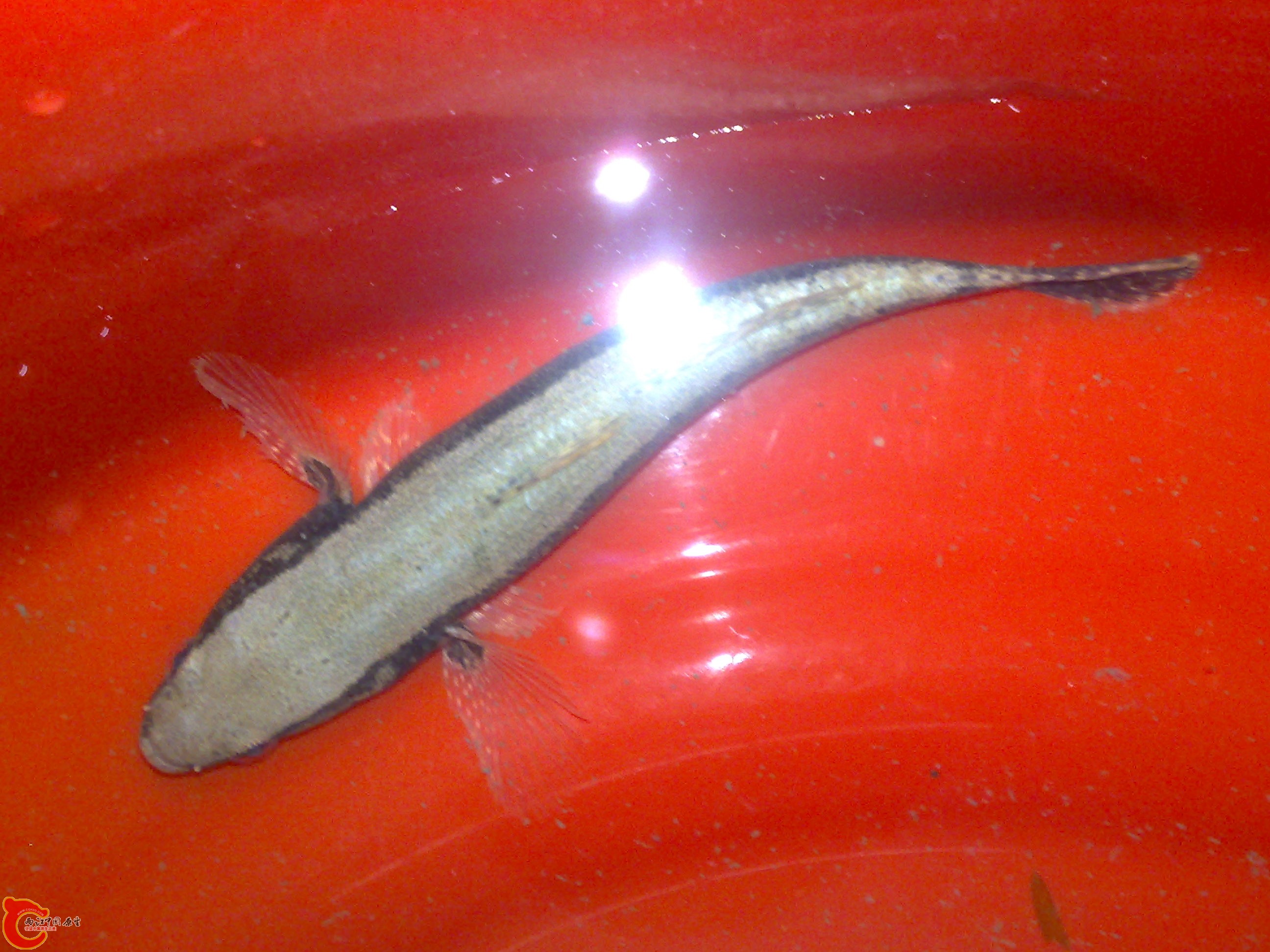 20120417487.jpg