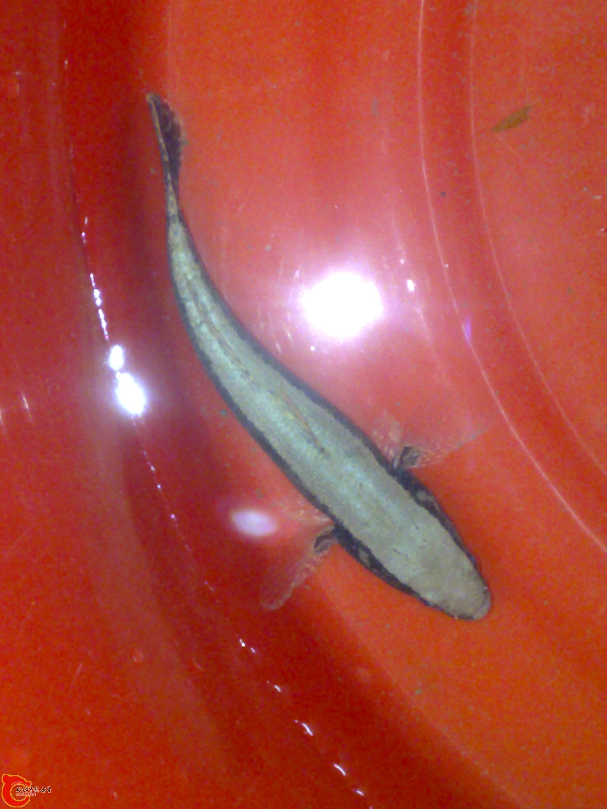 20120417486.jpg