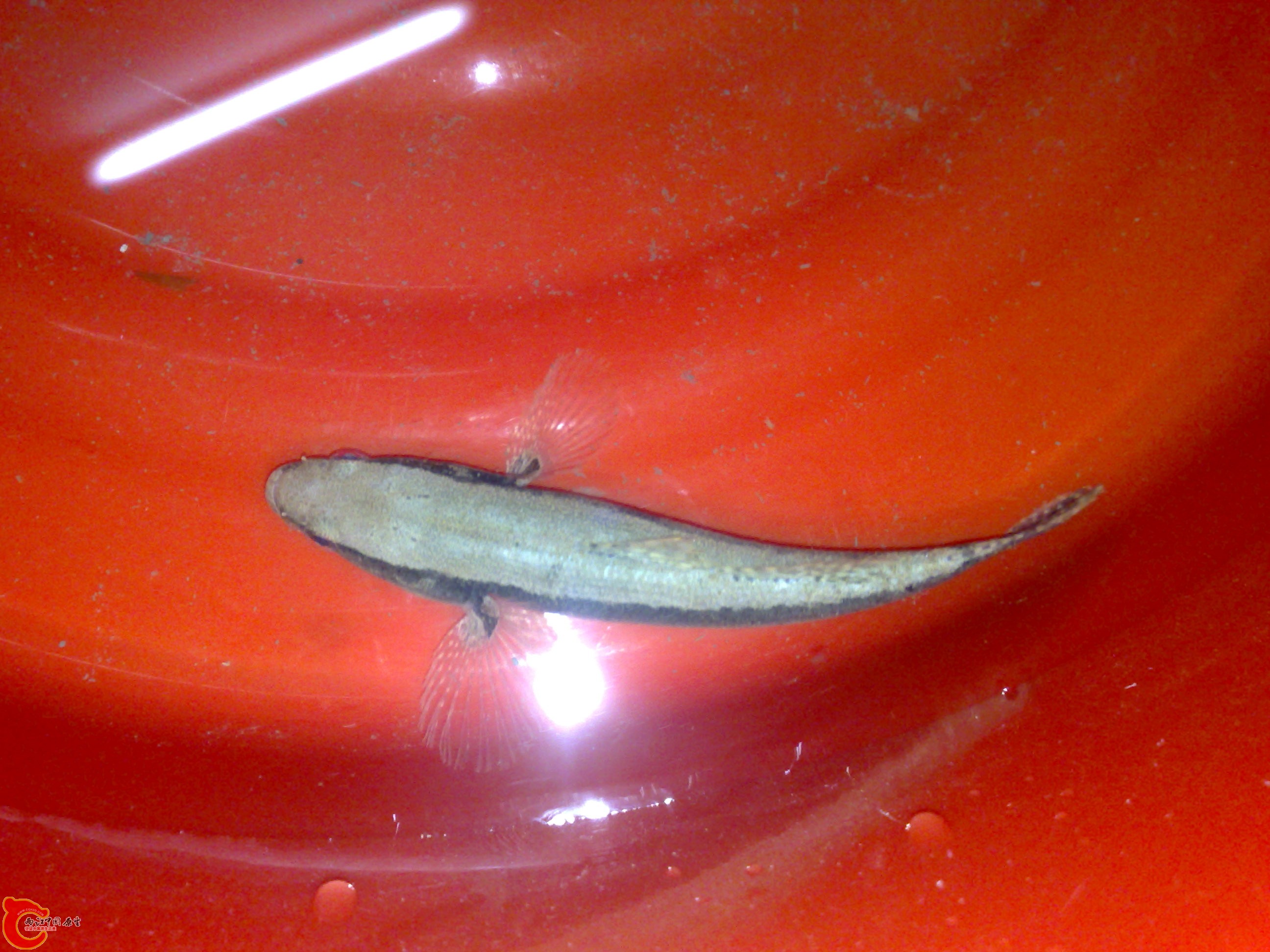 20120417484.jpg