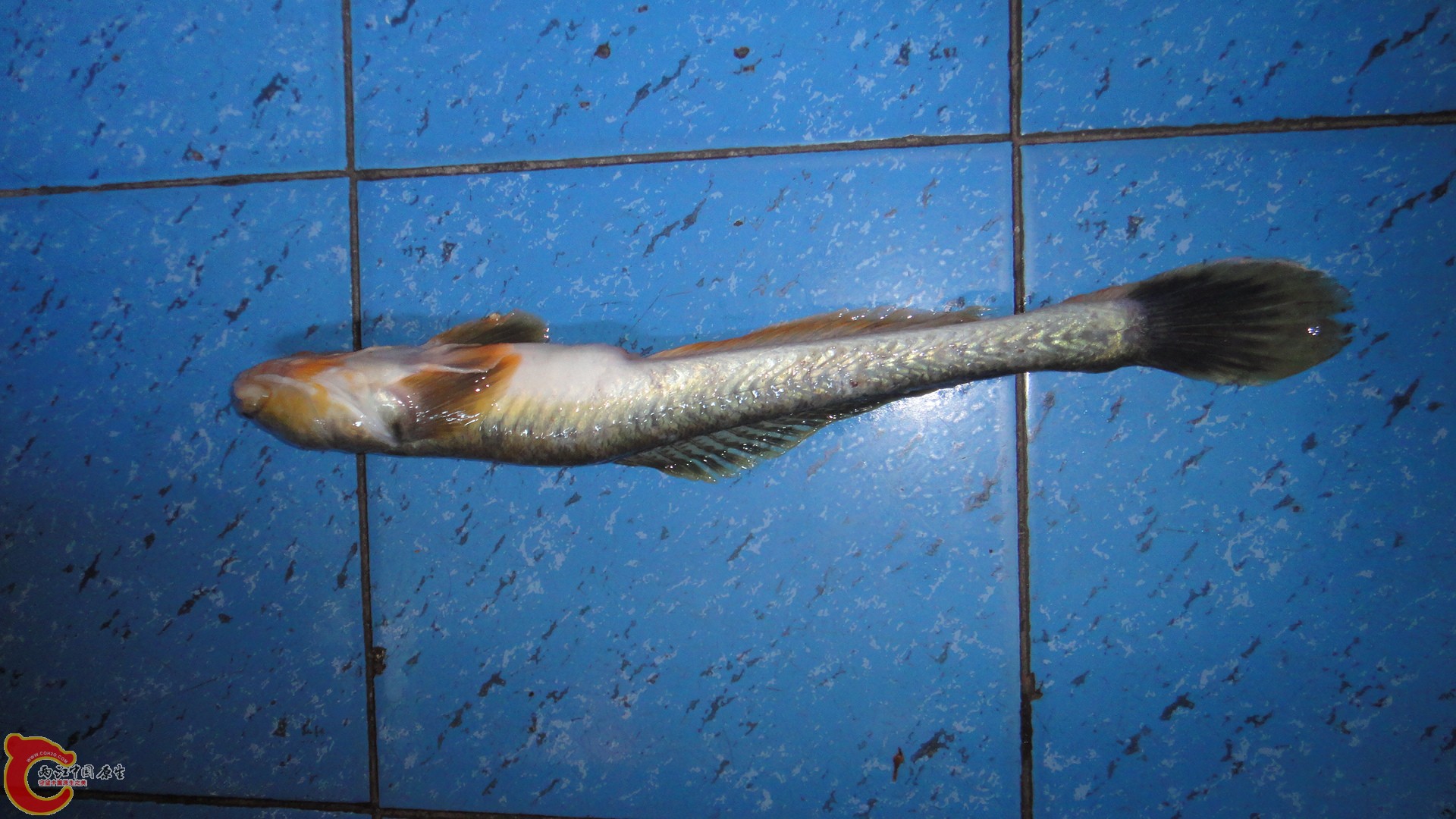 DSC02310.JPG