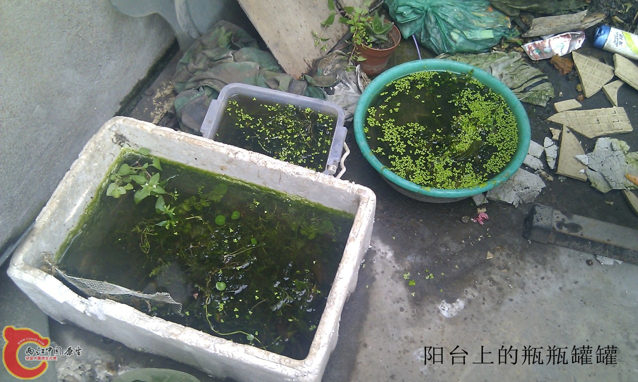 IMG_20120420_115530.jpg