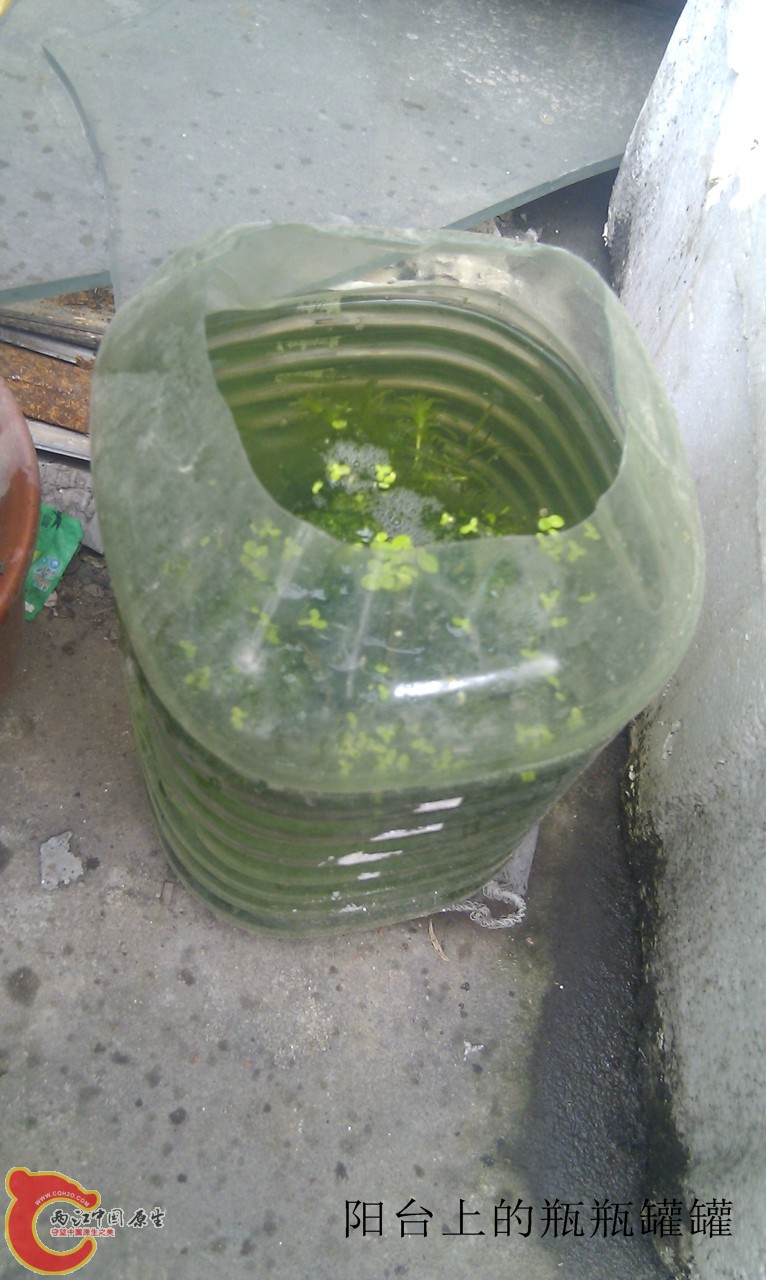 IMG_20120420_115536.jpg
