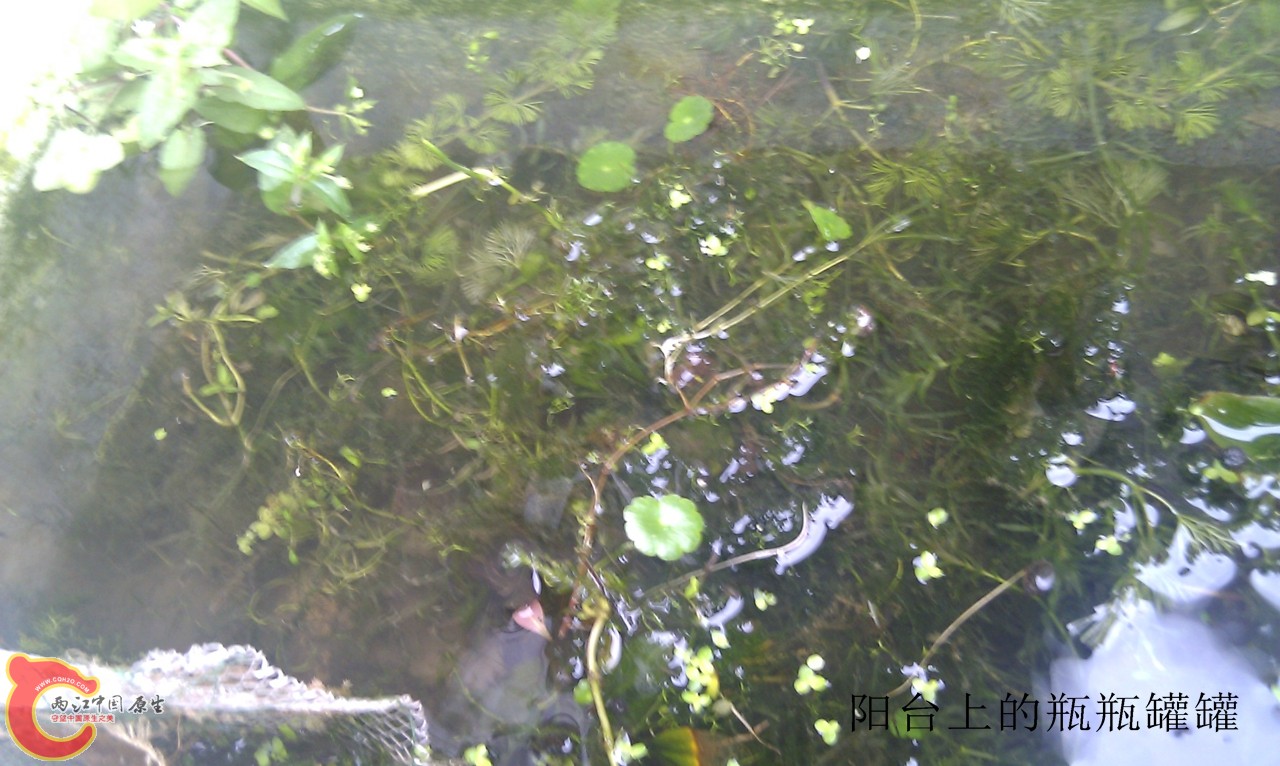 IMG_20120420_115545.jpg