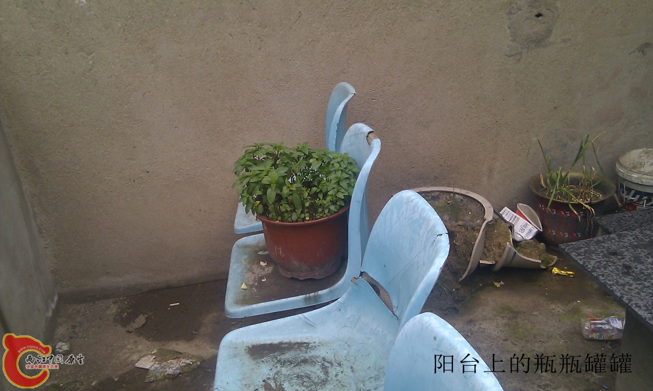 IMG_20120420_115609.jpg