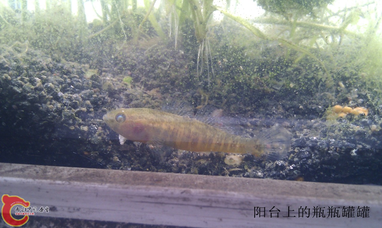 IMG_20120420_120835.jpg