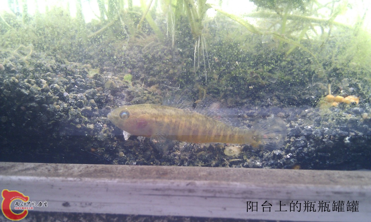 IMG_20120420_120840.jpg