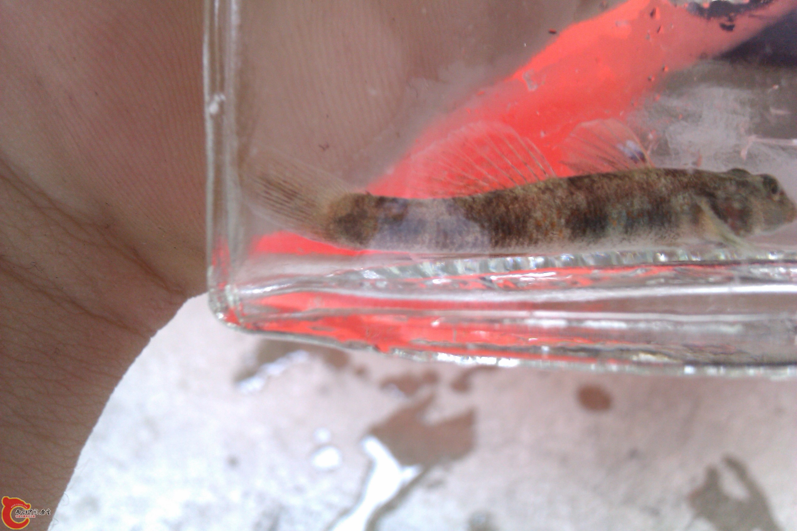 IMAG0270.jpg