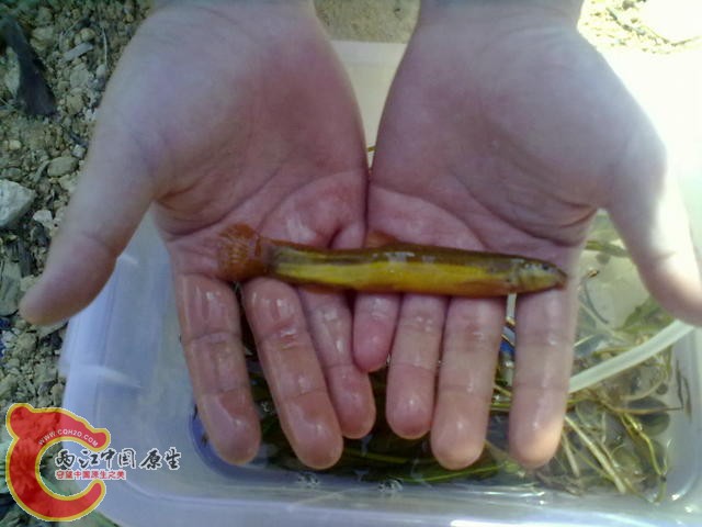 20120415645-001.jpg