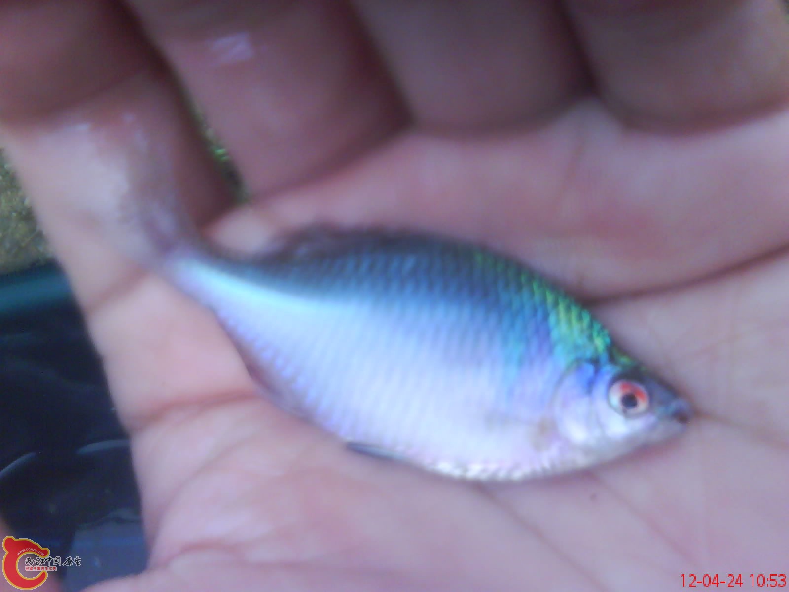 DSC03357.JPG