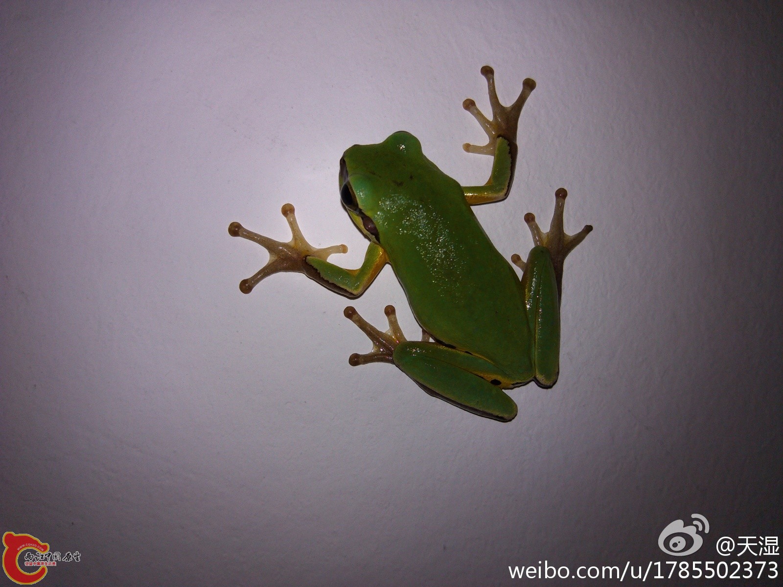 IMG_20120424_222316.jpg