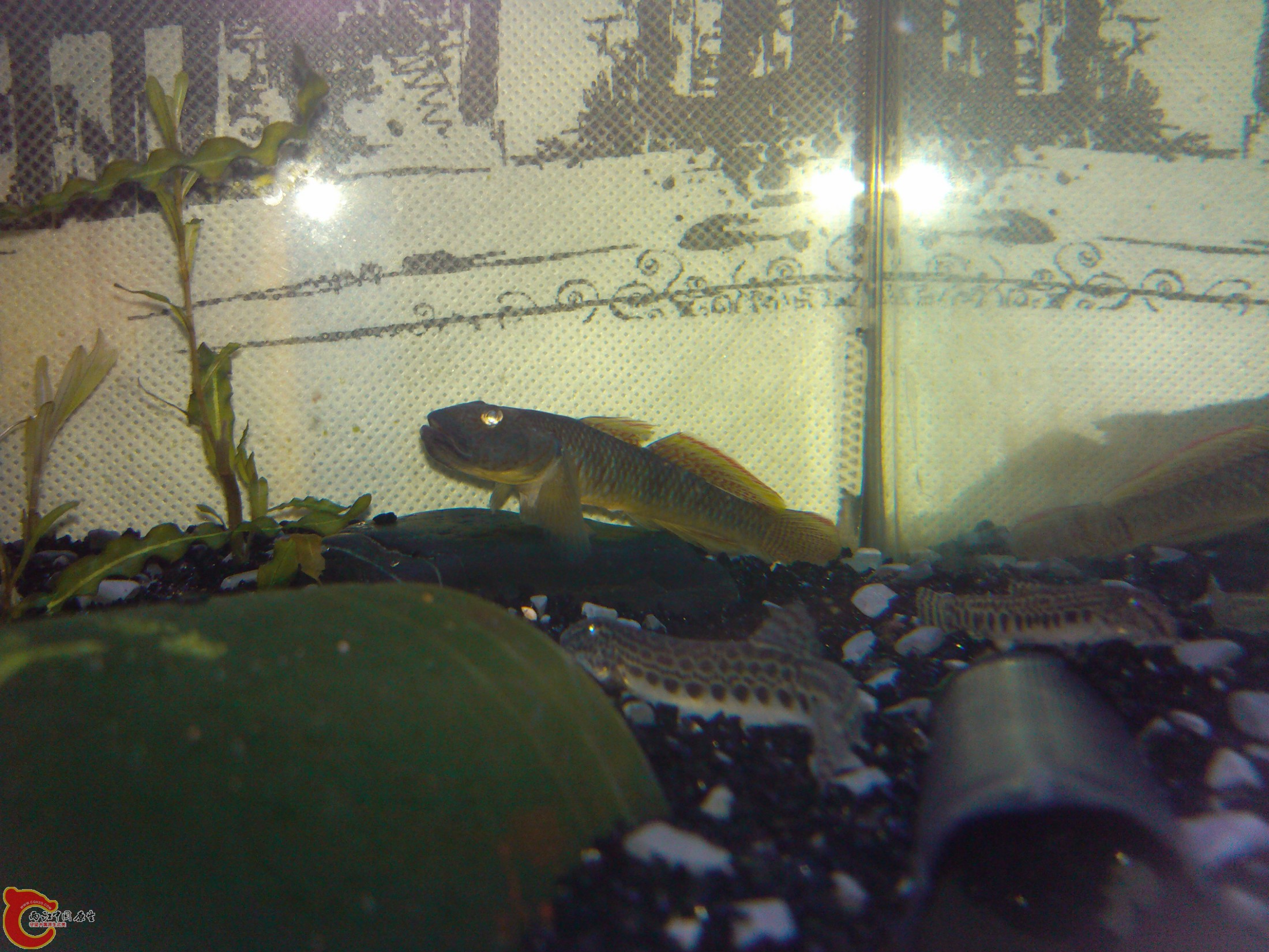 IMG_20120415_213319.jpg