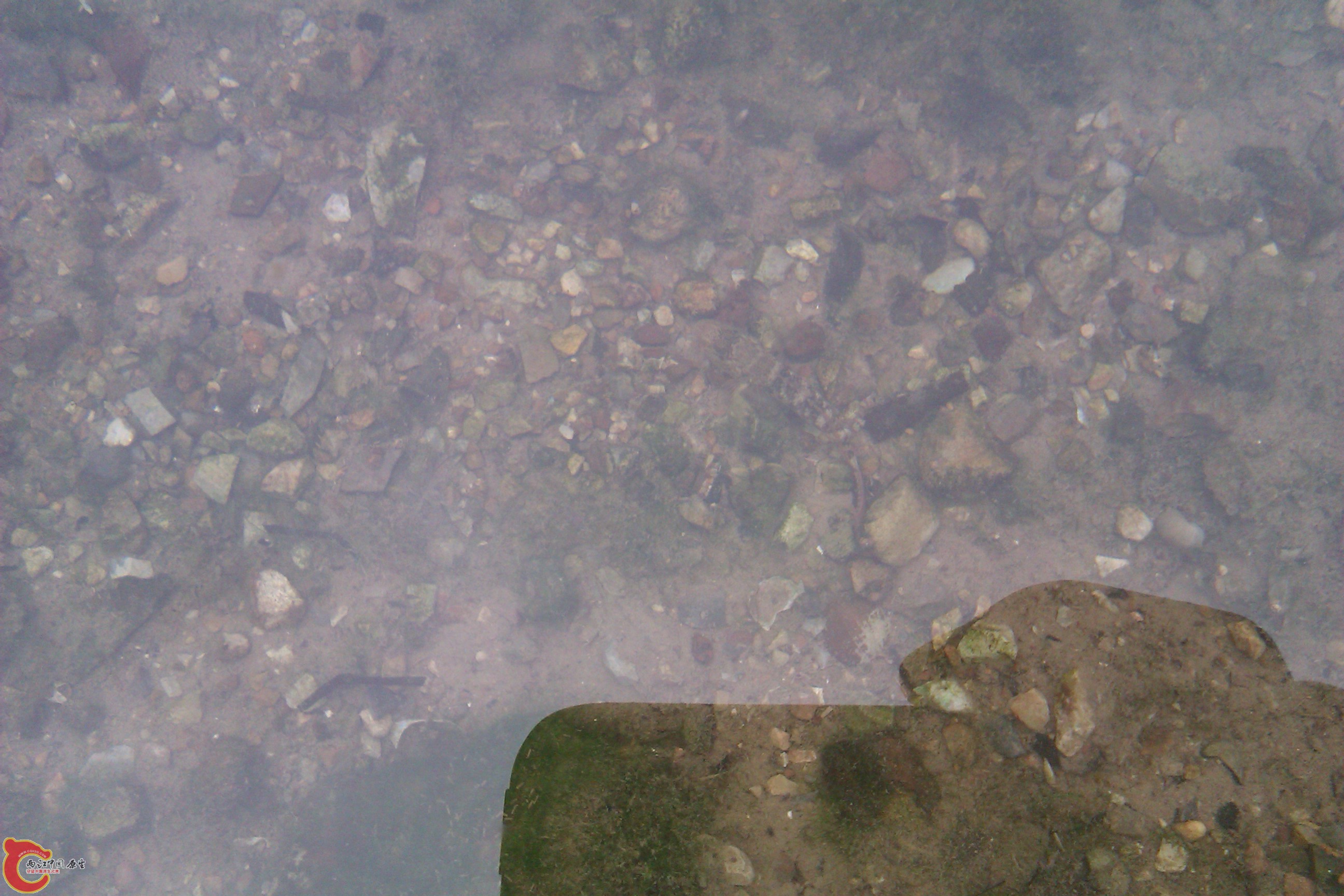 IMAG0186.jpg