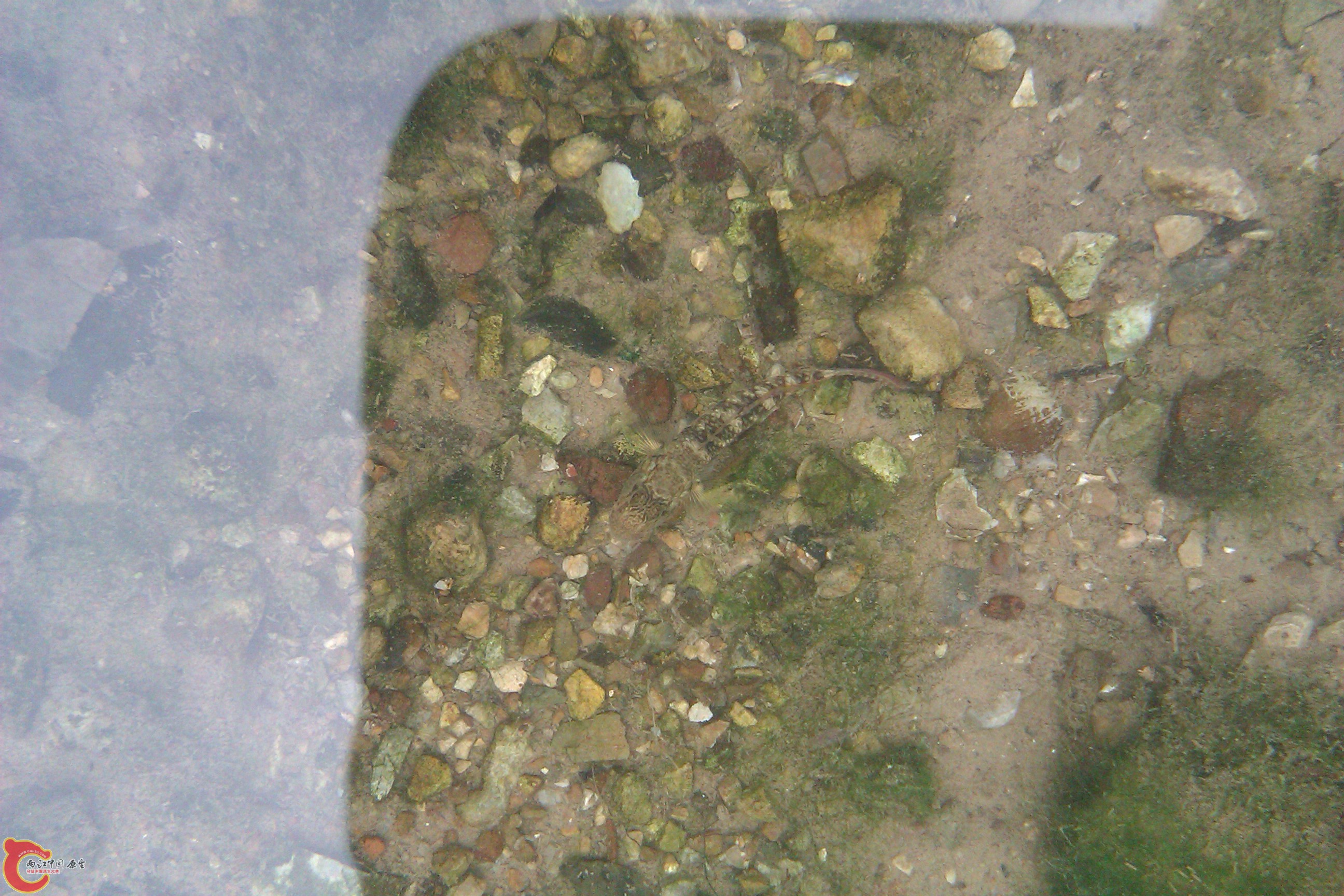 IMAG0187.jpg
