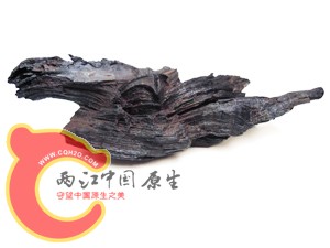 整体体外形
